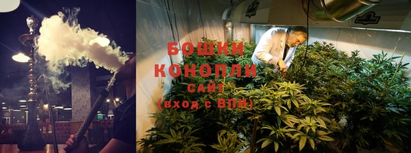 трава Куйбышев