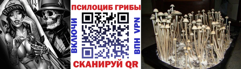 Галлюциногенные грибы ЛСД  ОМГ ОМГ маркетплейс  Шатура 