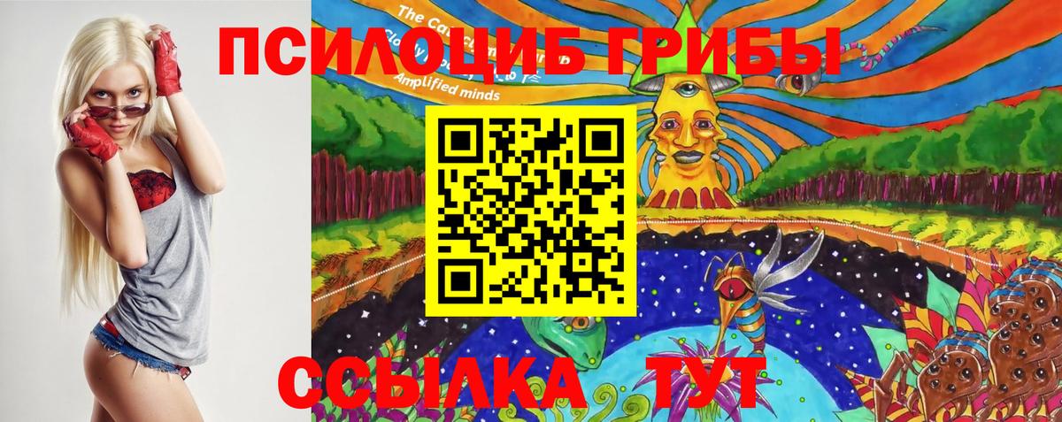 Галлюциногенные грибы мухоморы Шатура