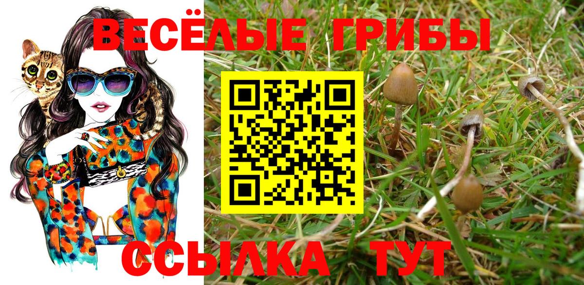 Галлюциногенные грибы MAGIC MUSHROOMS  наркотики  Шатура 