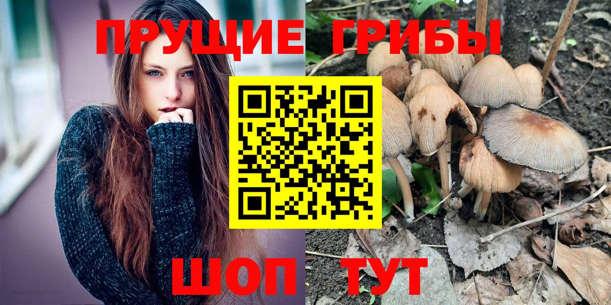 Шатура  Псилоцибиновые грибы мухоморы  Вход с VPN  Галлюциногенные грибы мухоморы 