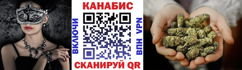 Каннабис OG Kush  Шатура 