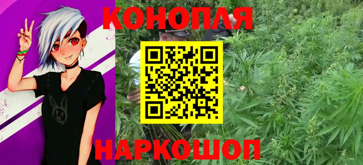 Каннабис планчик  Каннабис планчик  Бошки Шишки Ganja  Шатура 